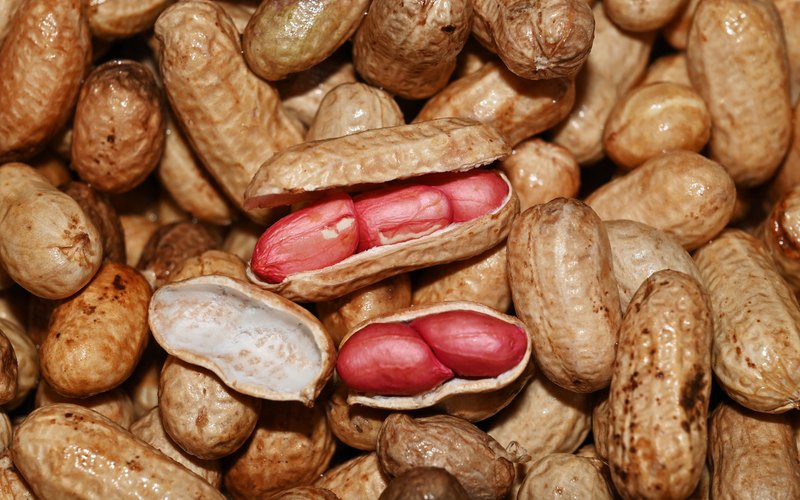 Which Peanut