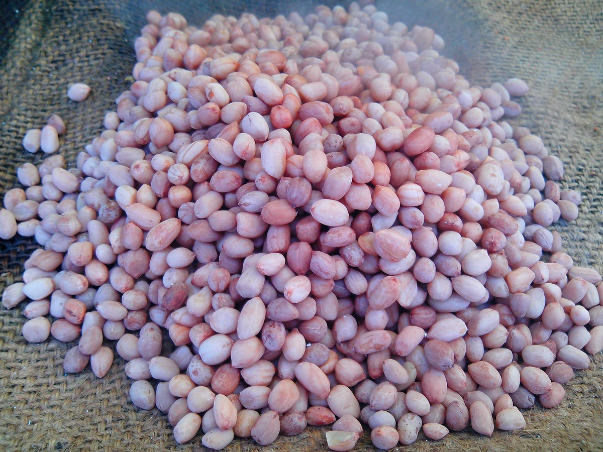 A mound of boiled groundnuts, the skins stained pale by the cooking water