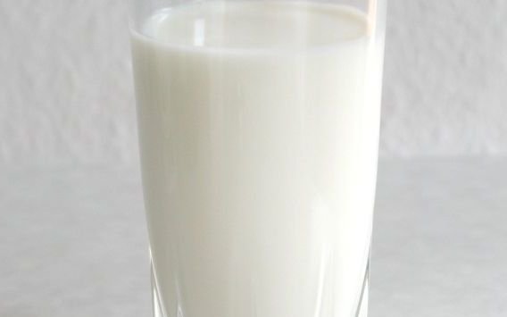 Milk