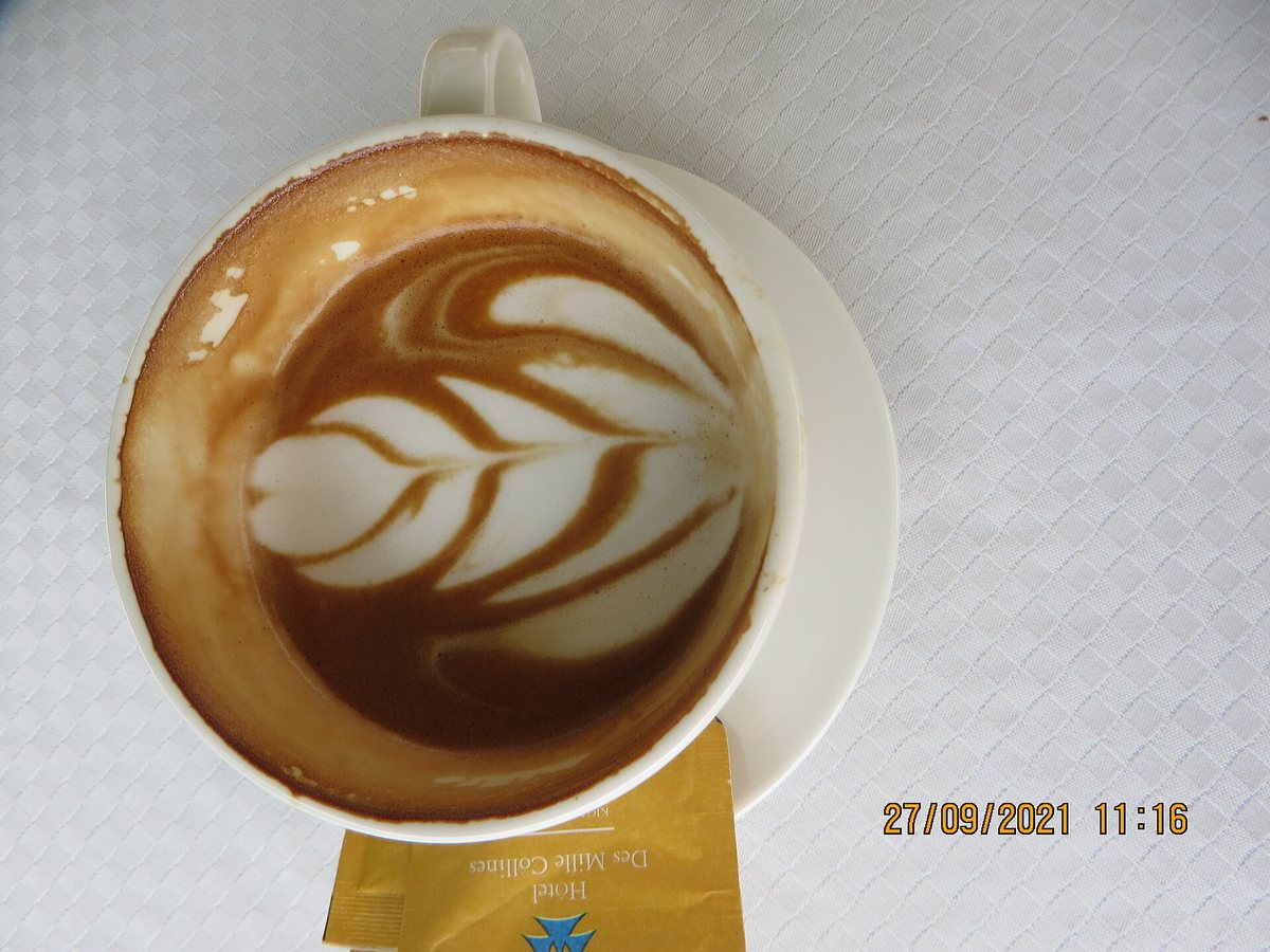 Milk poured into coffee. Fat blunts bitterness, protein grabs the tannins, and the foam is just the delivery mechanism arguing for attention