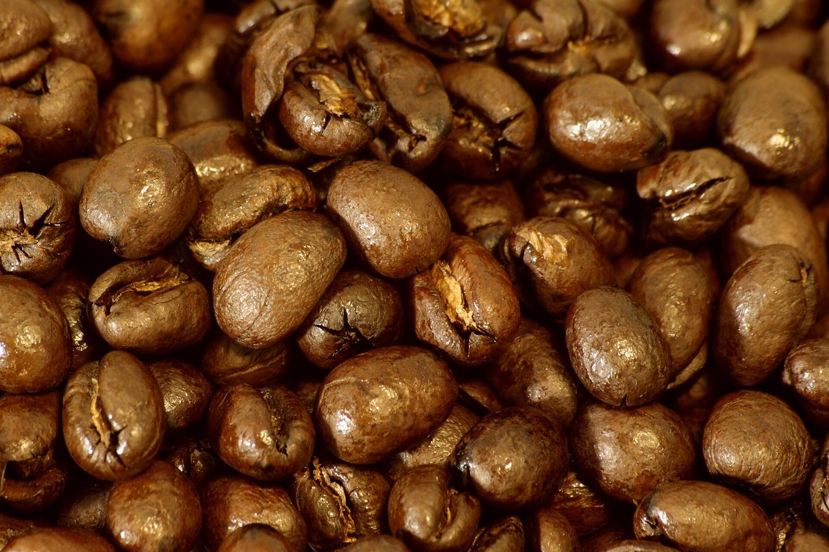 Peaberries, roasted — one round seed per cherry instead of two flat-faced halves. Uniform in size, which is the honest reason they roast evenly
