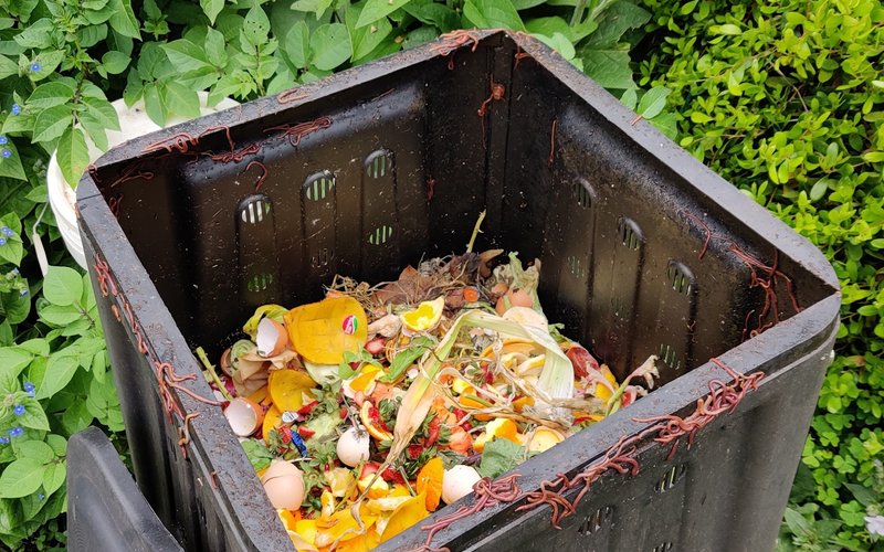 Compostable, PFAS and Waste