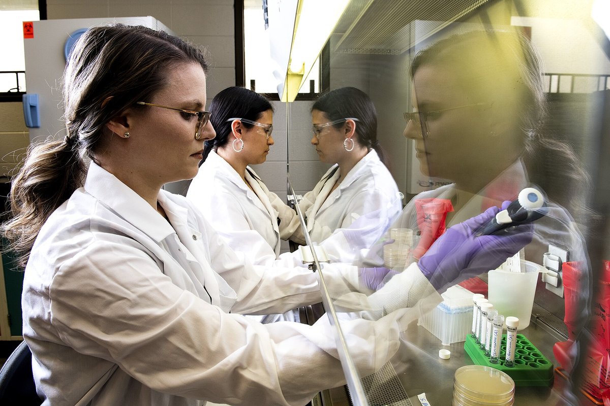 Two scientists in white coats and blue gloves at a laboratory bench, one holding a culture plate