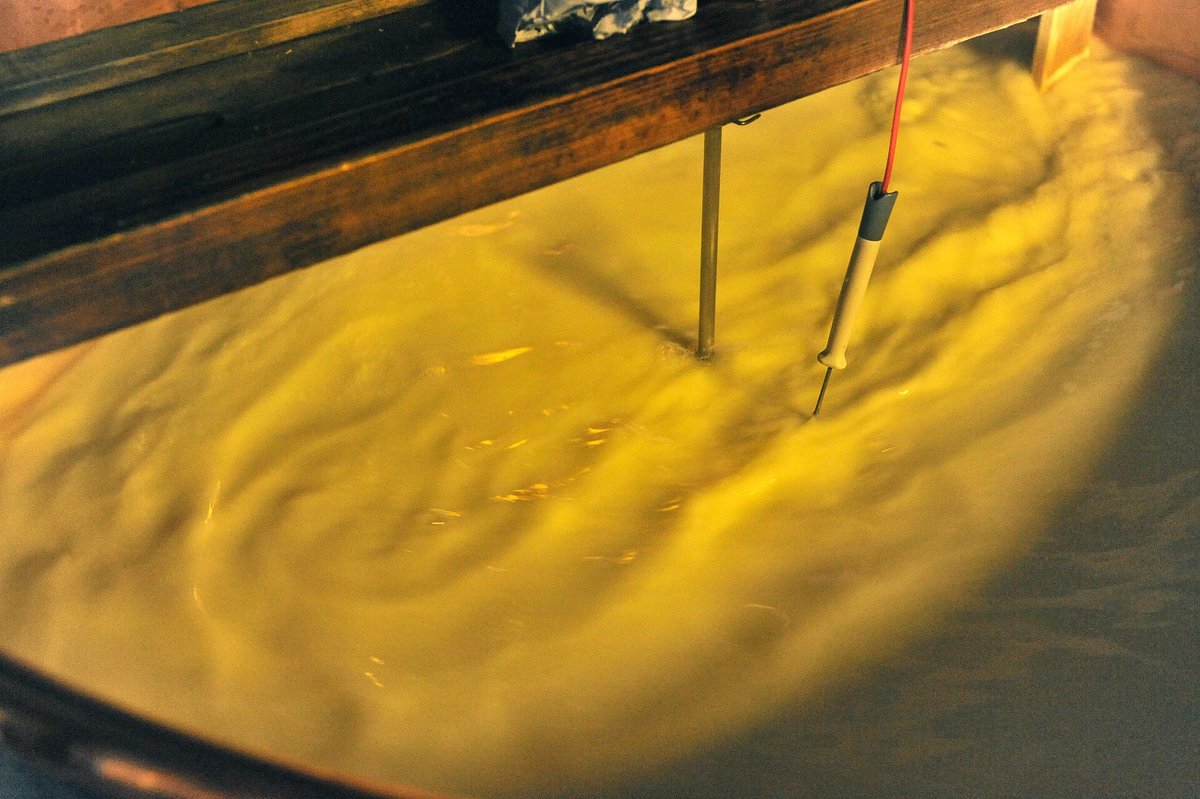 Fresh milk in a stainless-steel vat with a thermometer probe hanging into it