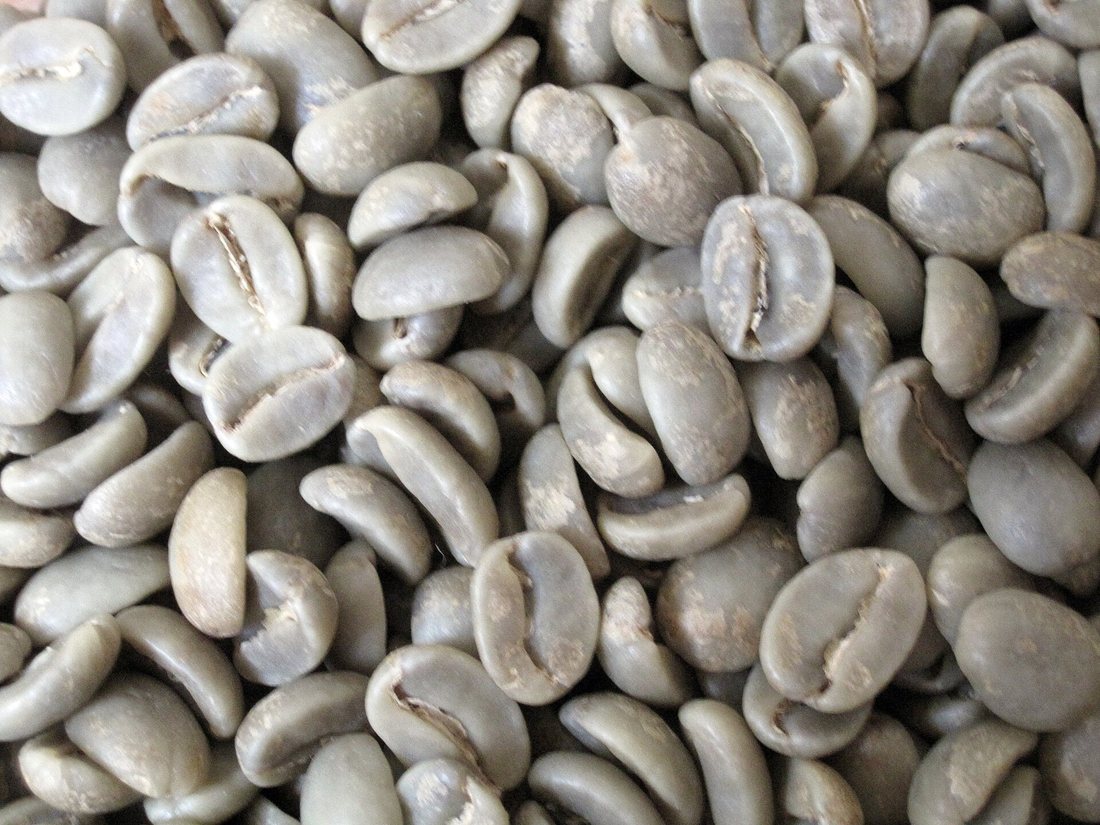 Green, unroasted coffee beans in close-up