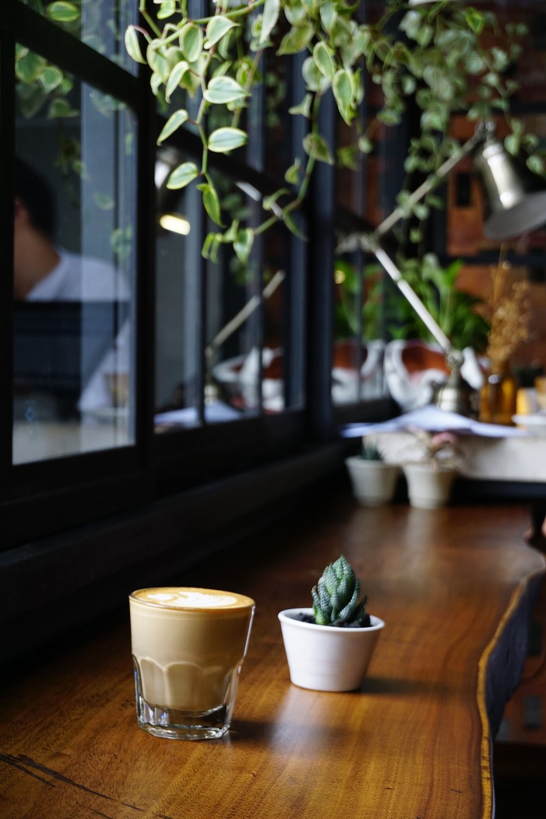 A small glass of layered milk coffee on a wooden counter beside a potted plant