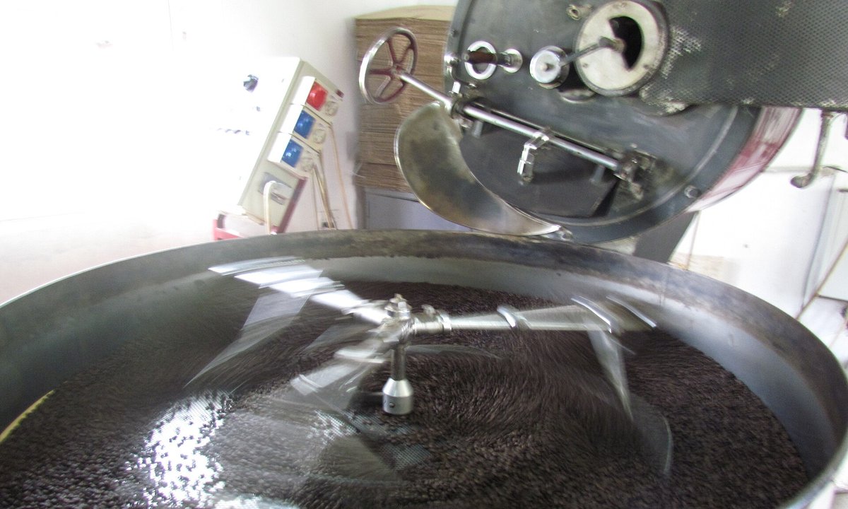 A small drum coffee roaster in a shop, its door open and freshly roasted beans spread in the round cooling tray with the stirring arms turning