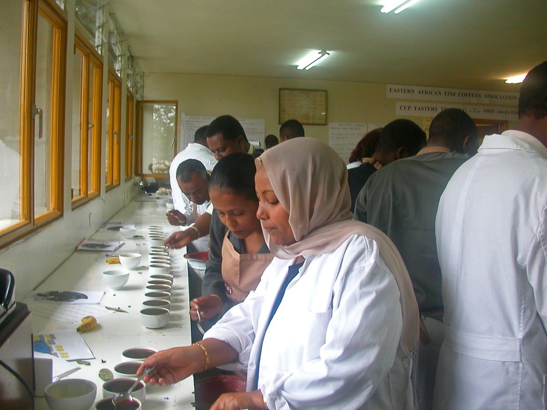 Tasters in white coats working along a long table of cupping bowls in a bright room