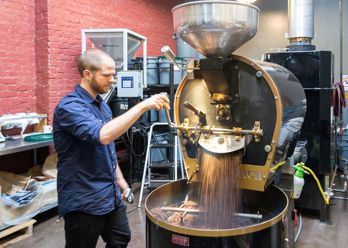 A man pulling the cooling-tray lever on a large drum roaster, roasted beans pouring into the stirring tray, inside a café with brick walls