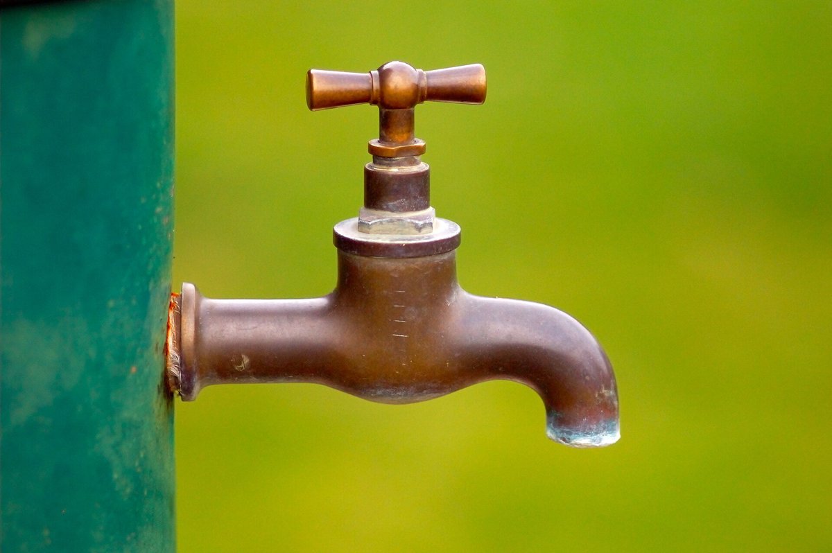 A brass water tap on a green wall, a drop of water hanging from the spout