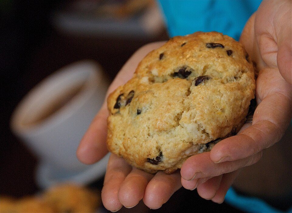 A blueberry scone held in two cupped hands