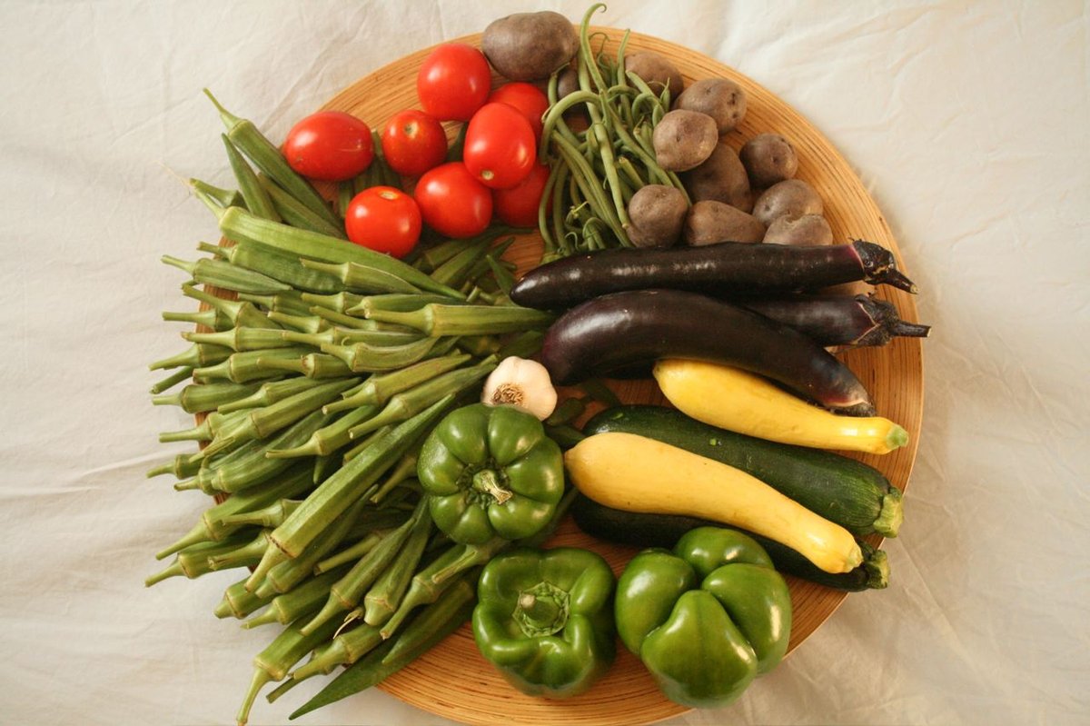 A weekly CSA share laid out on a wooden platter: tomatoes, okra, long beans, eggplants, yellow squash, zucchini, green peppers and small potatoes