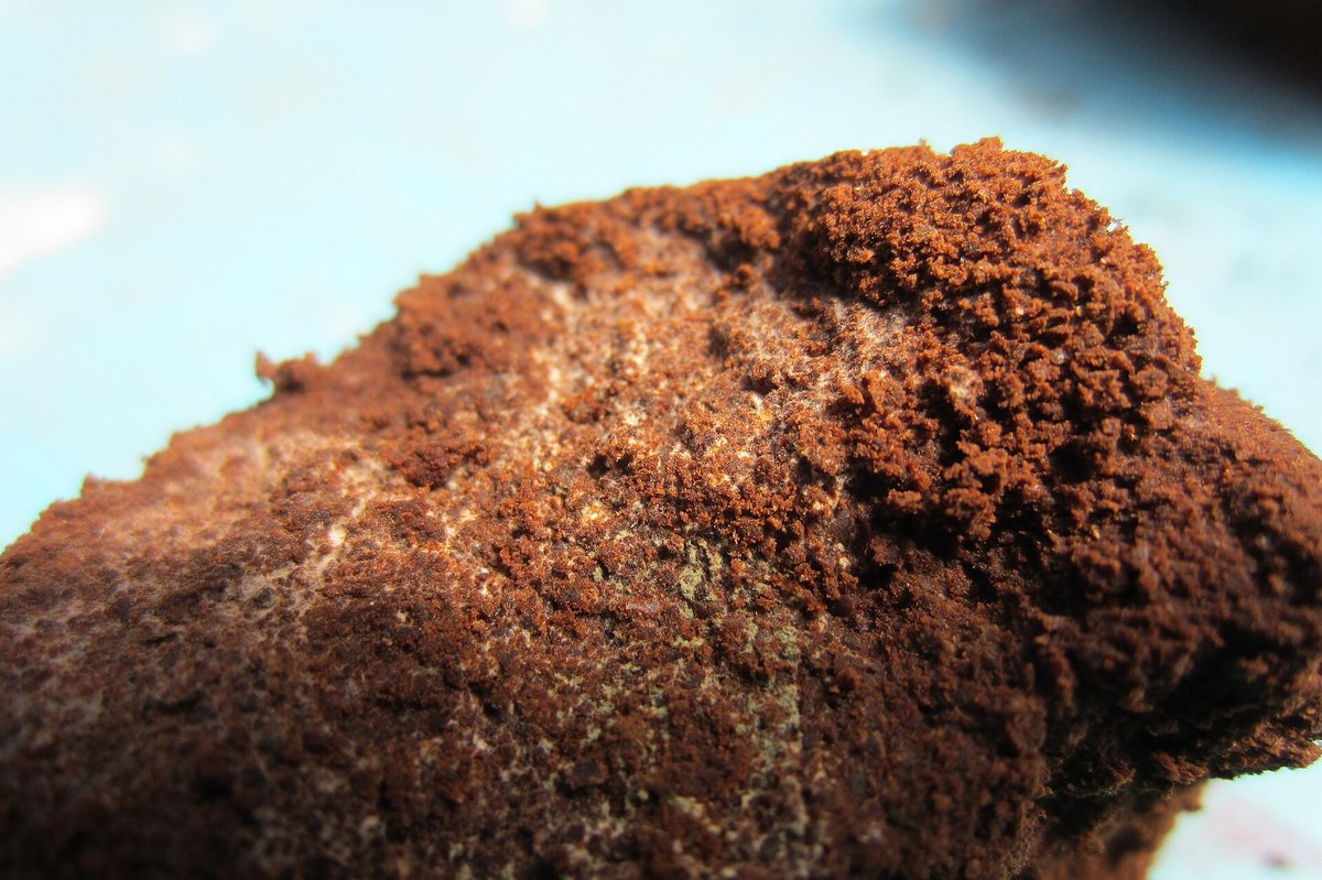 A mound of spent coffee grounds with white mould growing across its surface