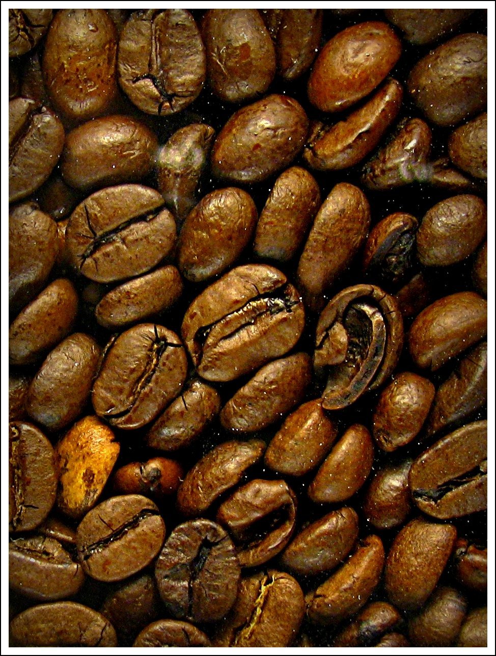 Very dark roasted coffee beans with a sheen of oil on their surfaces