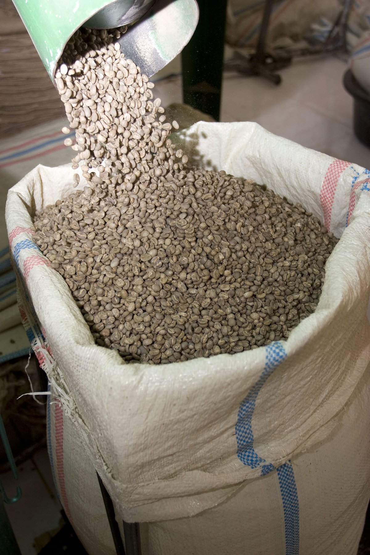 An open woven sack, its top rolled down, filled with pale green unroasted coffee beans, with more pouring in from a scoop above