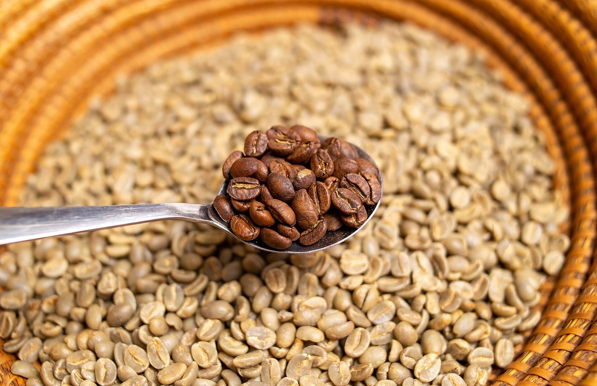 A spoonful of dark roasted coffee beans held over a basket of pale green coffee beans
