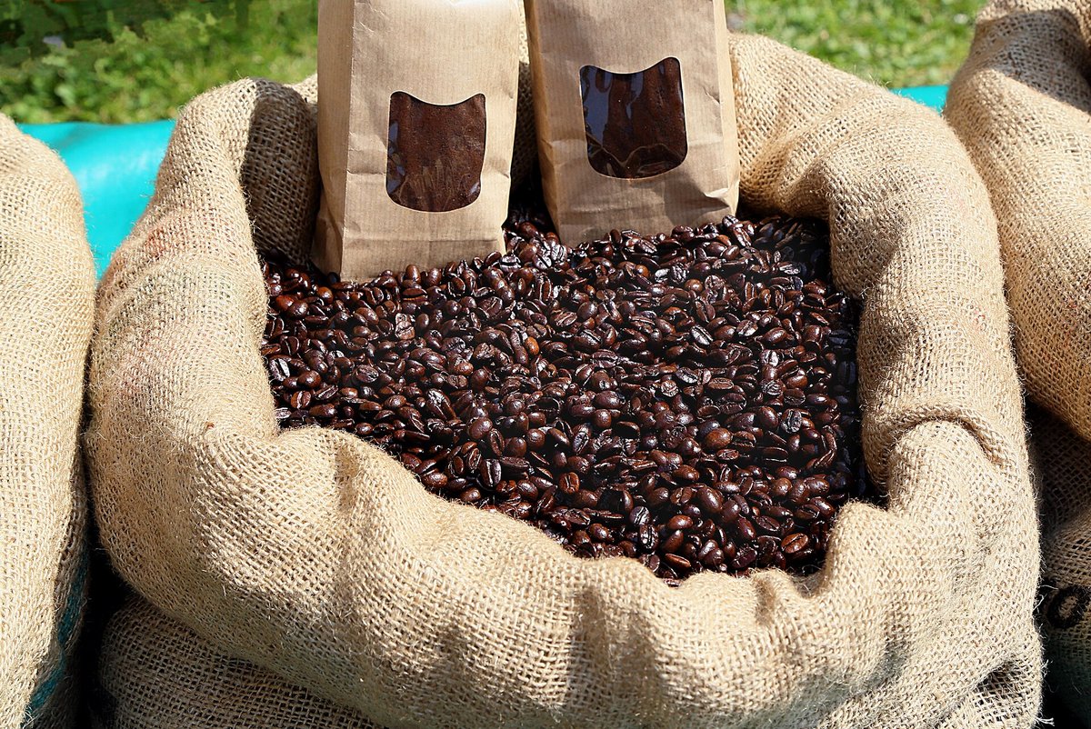 Roasted coffee beans heaped in an open burlap sack, with two kraft paper bags with clear windows standing in the beans