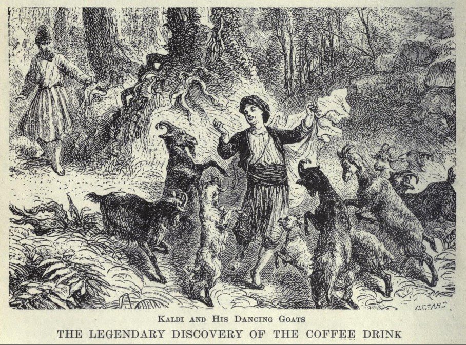 An engraving of a young goatherd dancing among rearing, prancing goats in a wooded clearing, captioned Kaldi and his dancing goats, the legendary discovery of the coffee drink