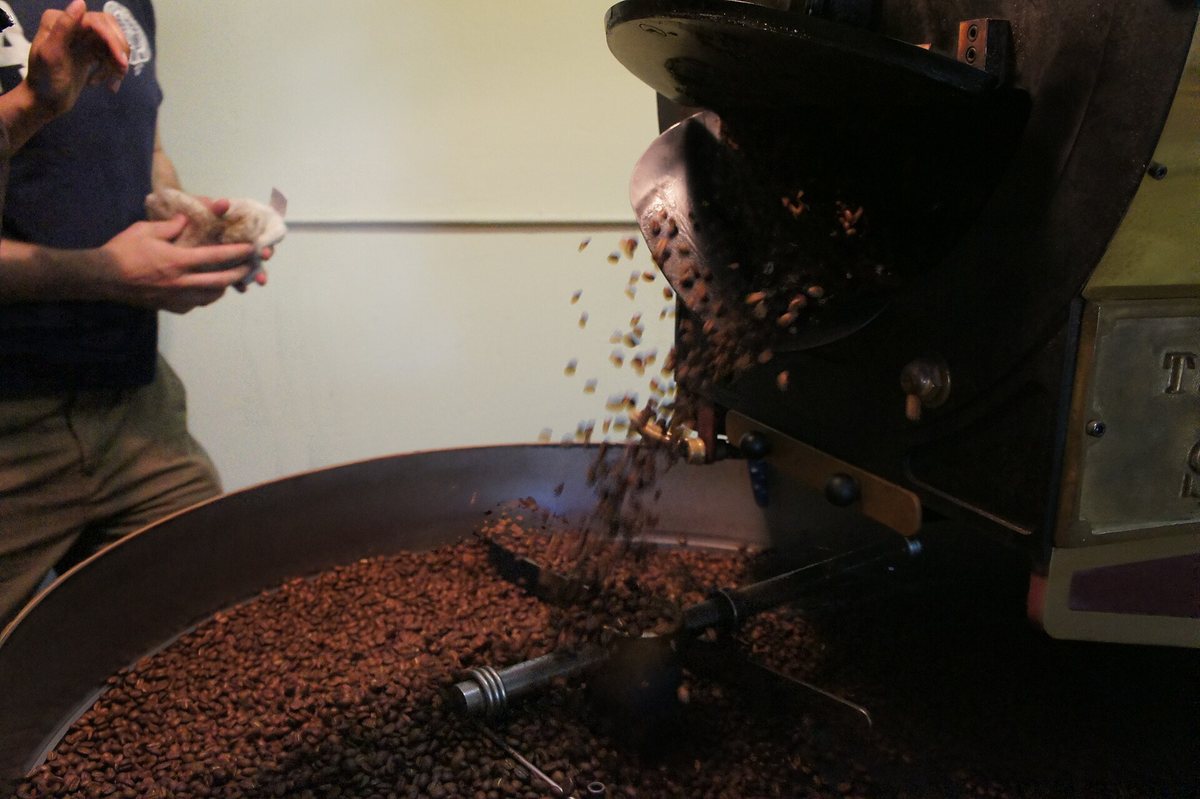 The drop: roasted coffee pouring out of the drum into the cooling tray, which is the moment the roast stops being a decision and starts being a result