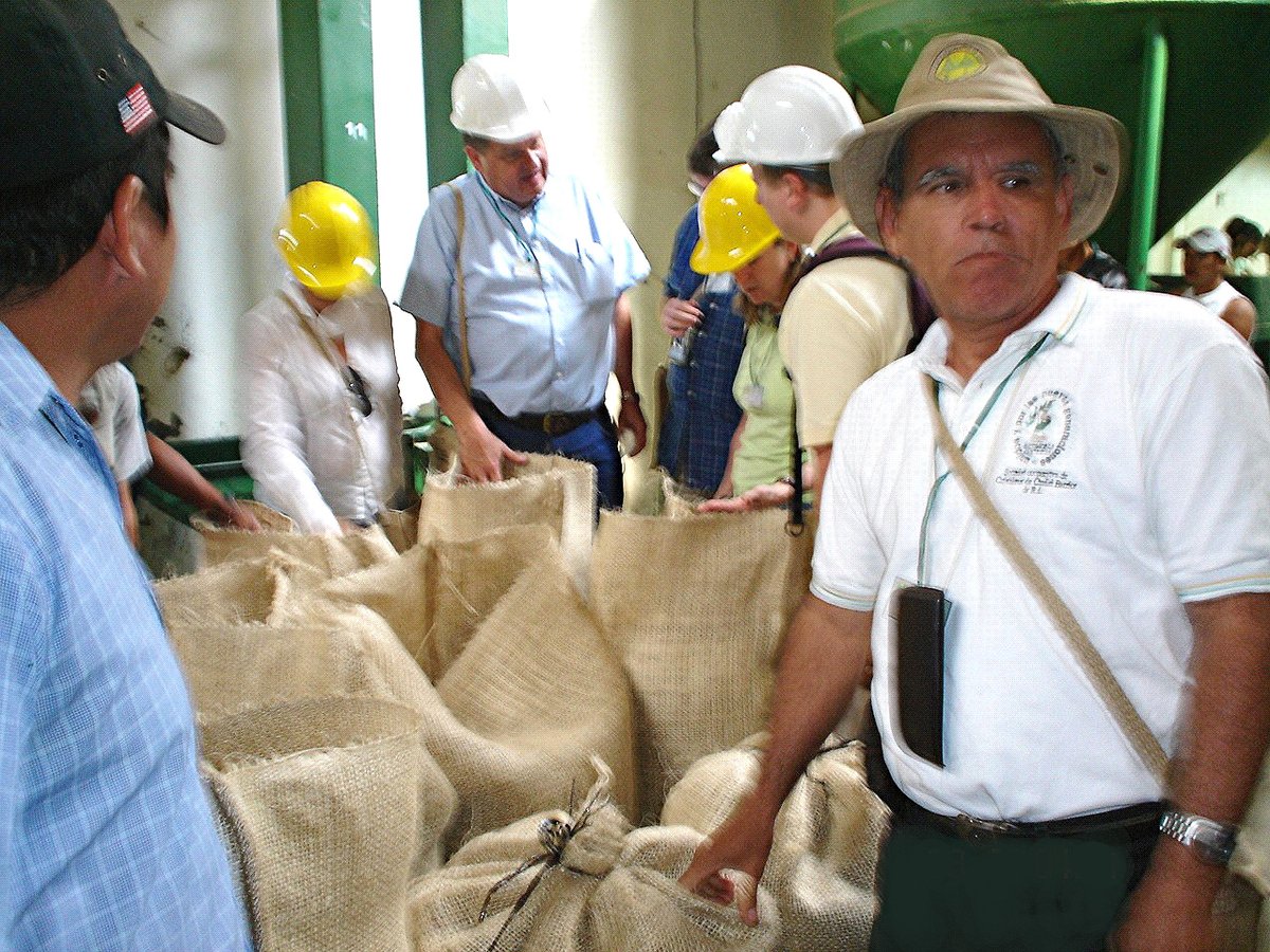 Men in hard hats and sun hats stand around open jute sacks of green coffee in a mill in El Salvador, reaching in to look at the beans