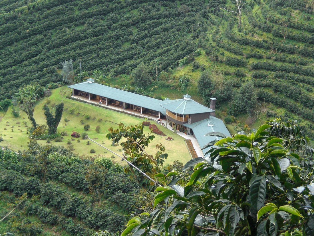 A long green-roofed farm lodge set among contour-planted rows of coffee on a hillside at Finca Lérida, Boquete, Panama