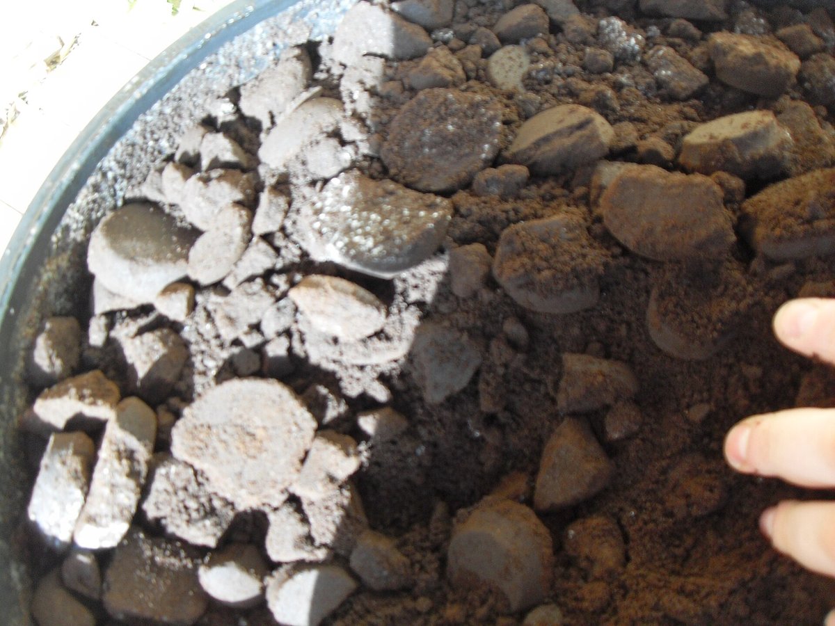 A bucket holding dark coffee grounds, many still in the round puck shape knocked out of an espresso machine