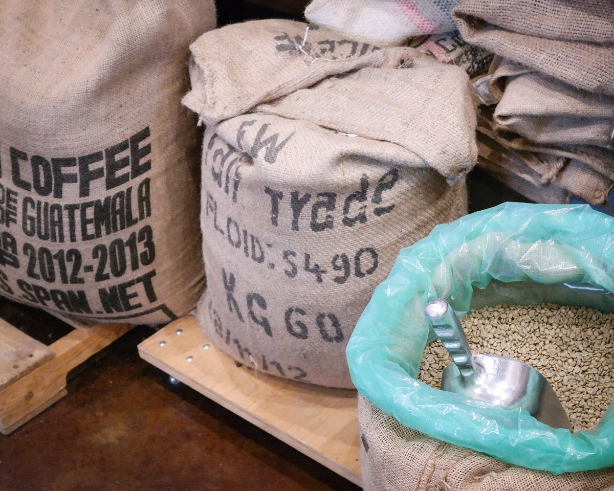 Green coffee as it arrives: jute sacks, a scoop, and beans the colour of dried peas. Everything a roaster sells is still hypothetical at this point