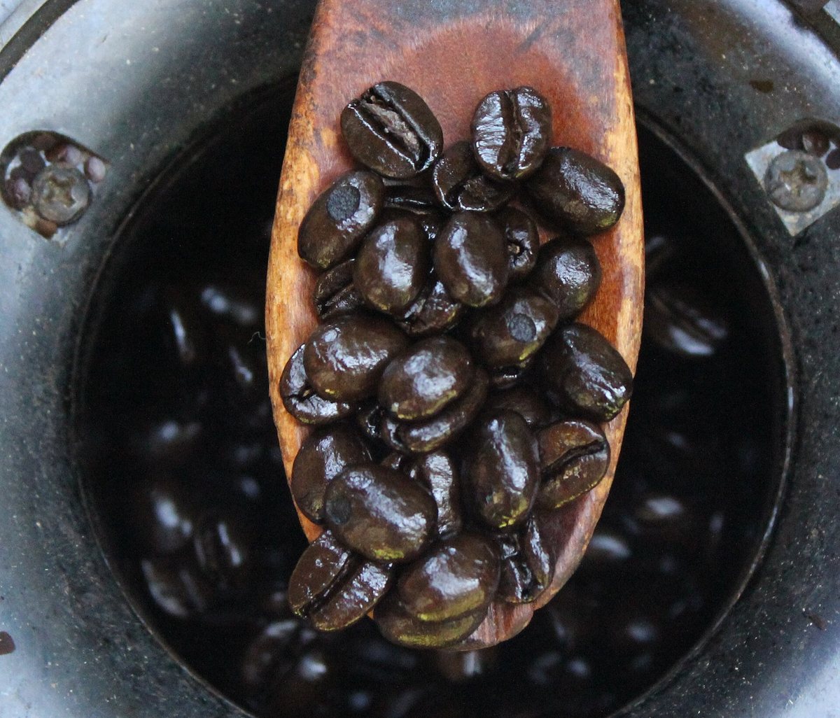 Dark: second crack territory. The beans have gone almost black and oil has come to the surface — that sheen is the bean's own lipids, and from here the roast is the flavour, not the farm