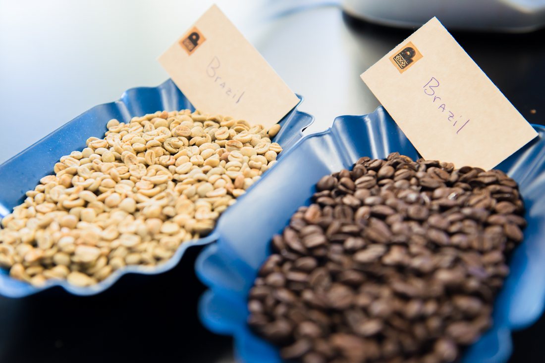 Two blue sample trays, one of green coffee and one of roasted, each with a handwritten card reading Brazil