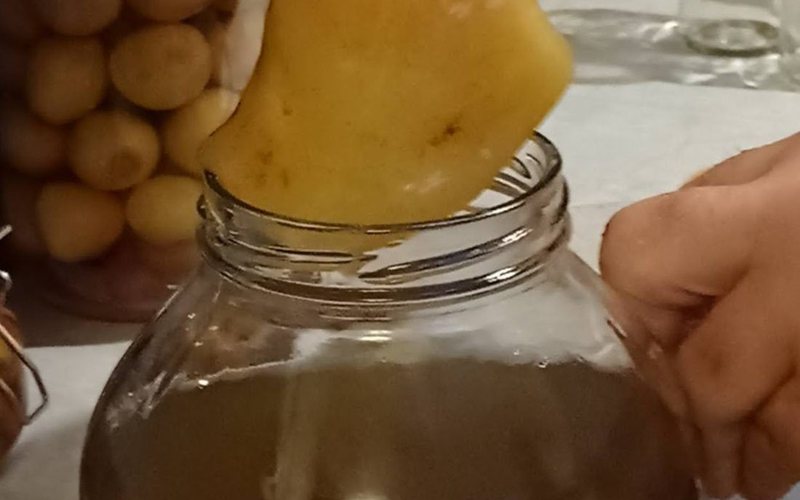 Kombucha