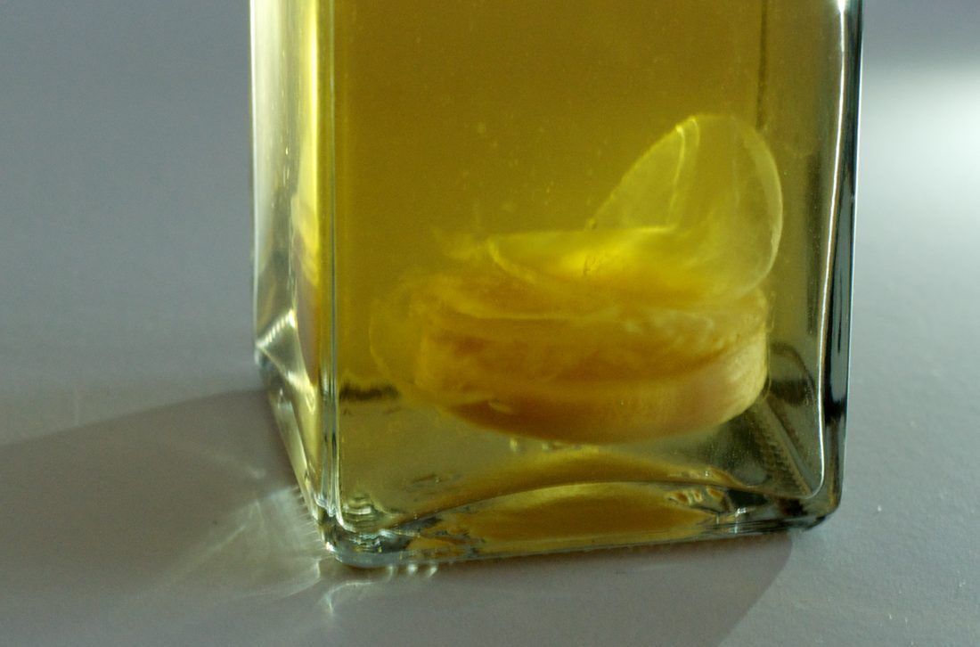 A mother of vinegar suspended in raw vinegar — bacterial cellulose, the same material as a kombucha pellicle