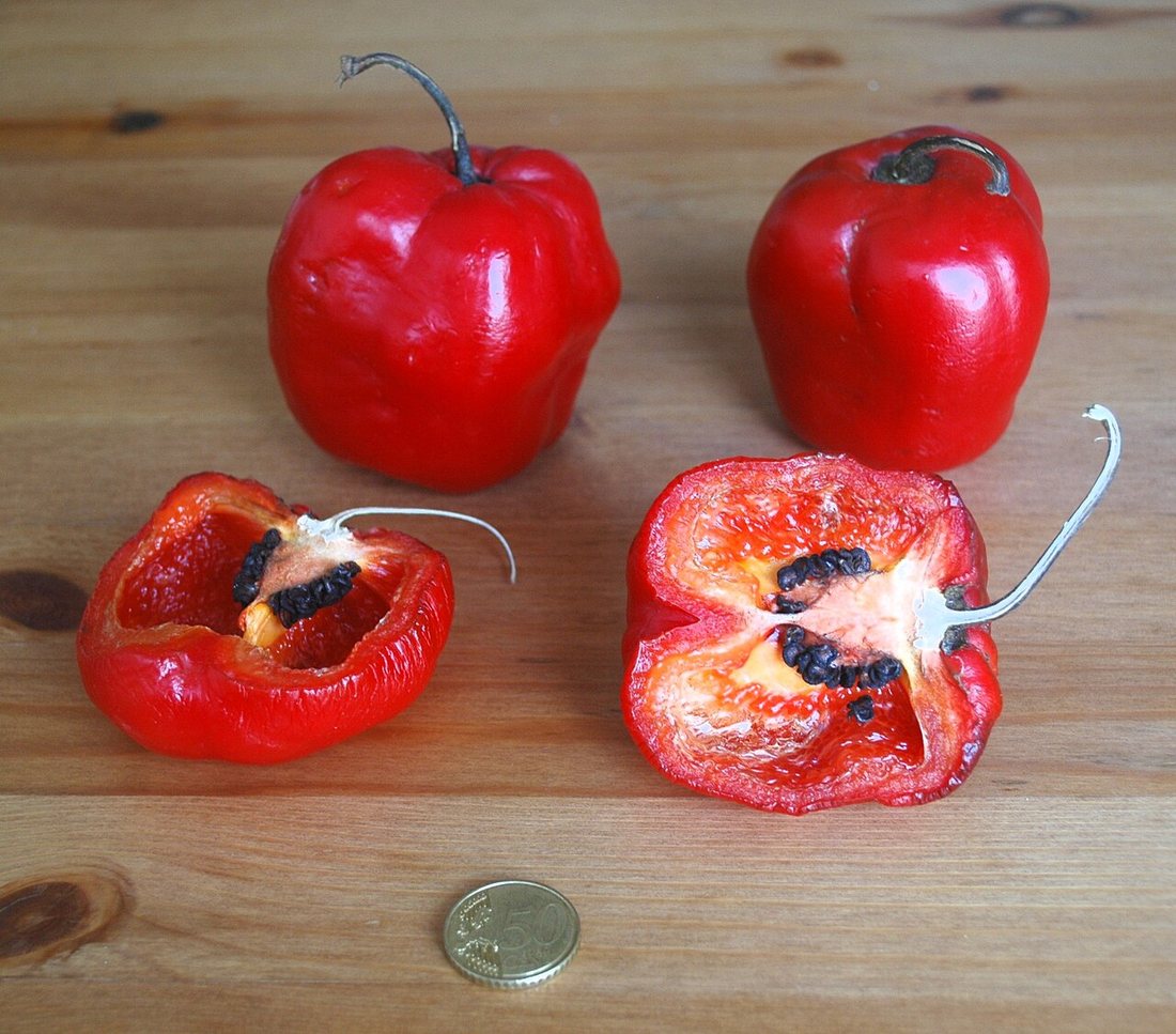 Red rocoto peppers, two of them cut open to show black seeds on the pale inner tissue