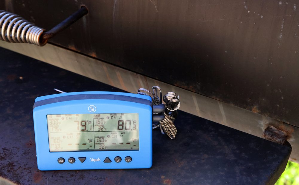 A probe thermometer reading the internal temp of hot-smoked salmon (placeholder for my batch log)