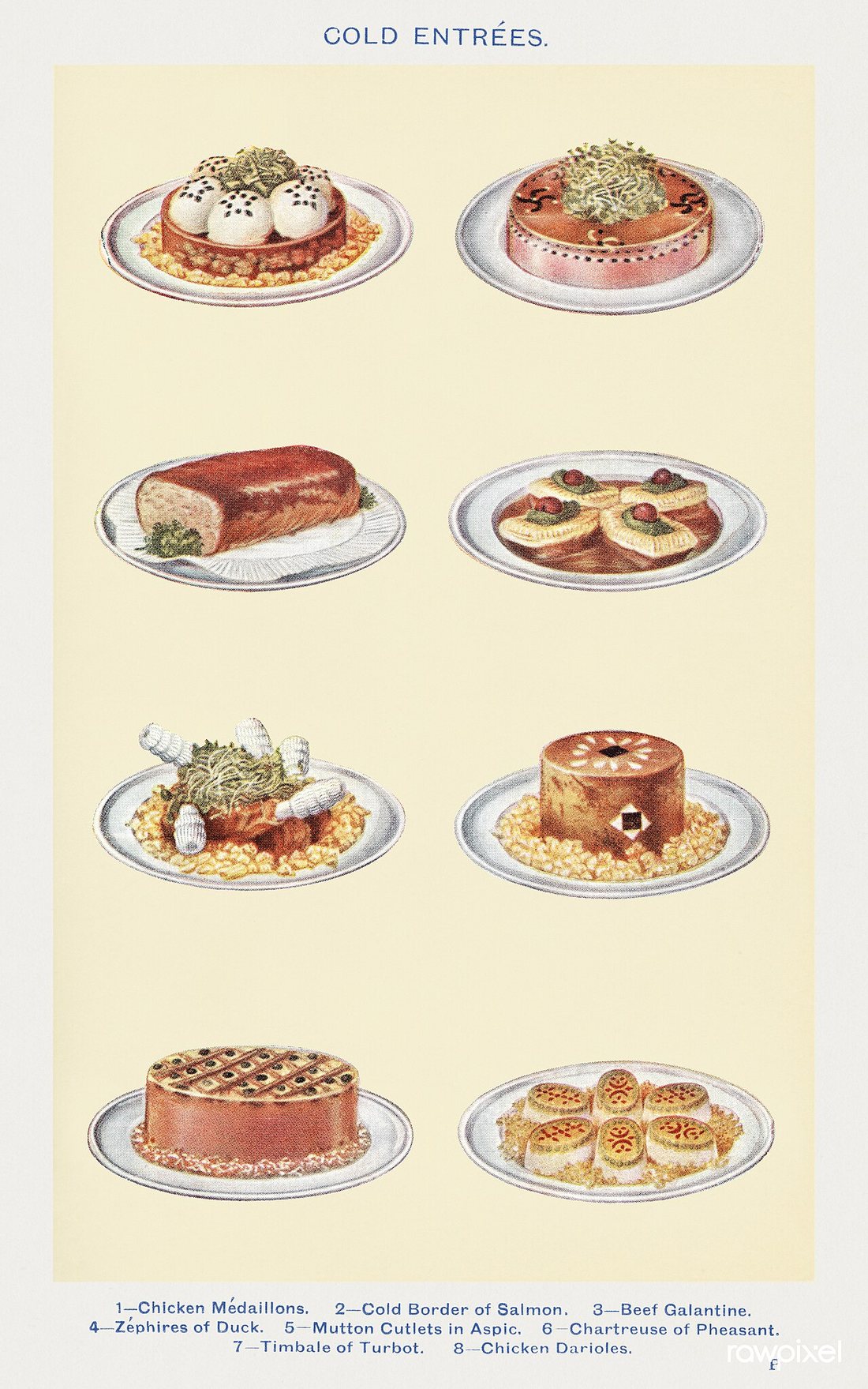 A color plate from a 1923 edition of Mrs Beeton titled Cold Entrées, showing molded chicken, salmon, galantine and cutlets in aspic