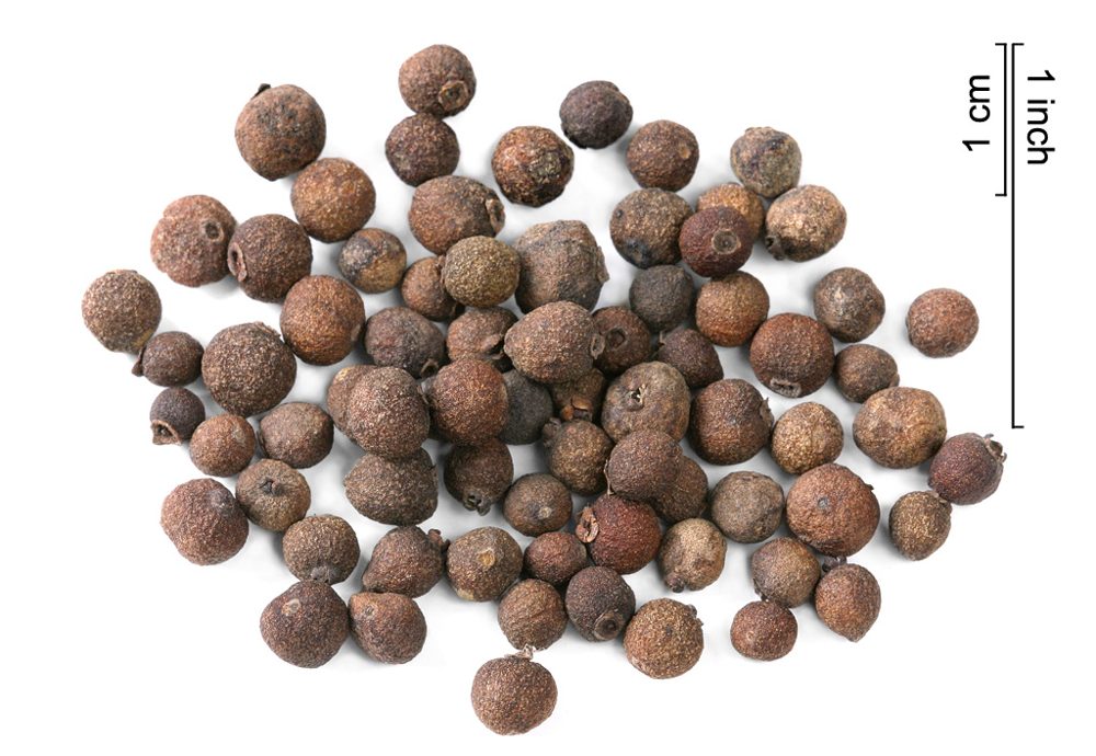 Allspice