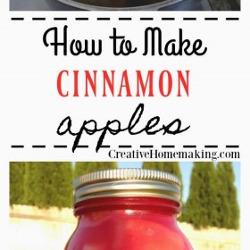 Apples, Cinnamon, Canned