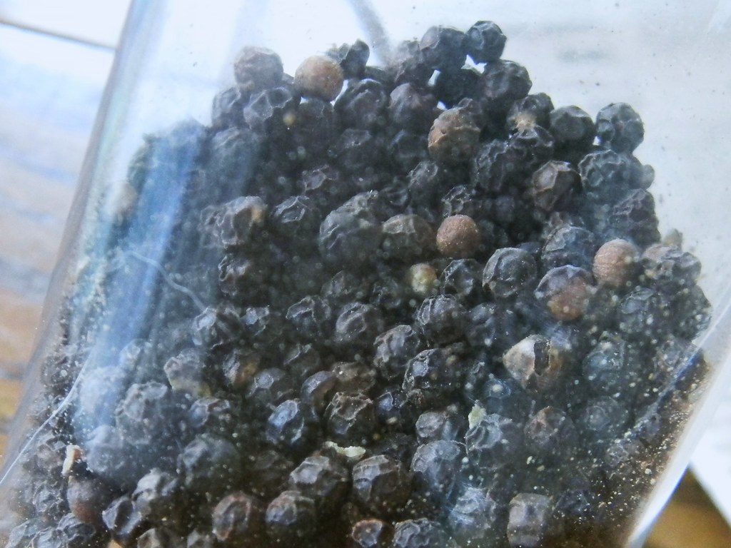 Black Pepper — How it's sold
