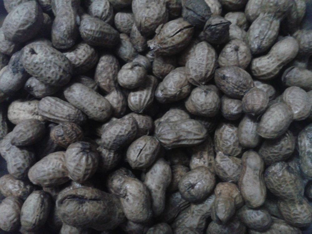 Boiled Peanuts