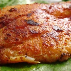 Bronzed Tilapia