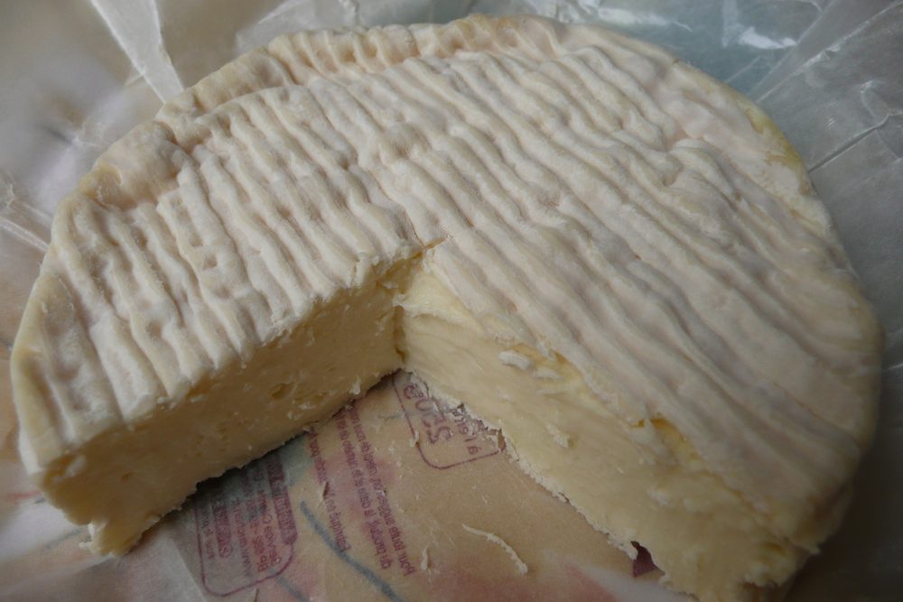 Cheese, Camembert-Style