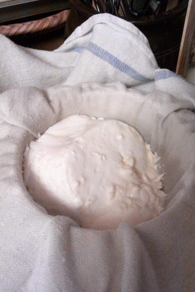 Cheese, Cream (Cultured)