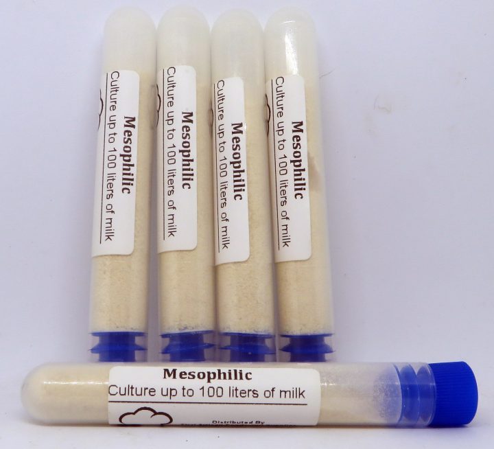 Cheese Cultures (Mesophilic & Thermophilic) — Out of the container