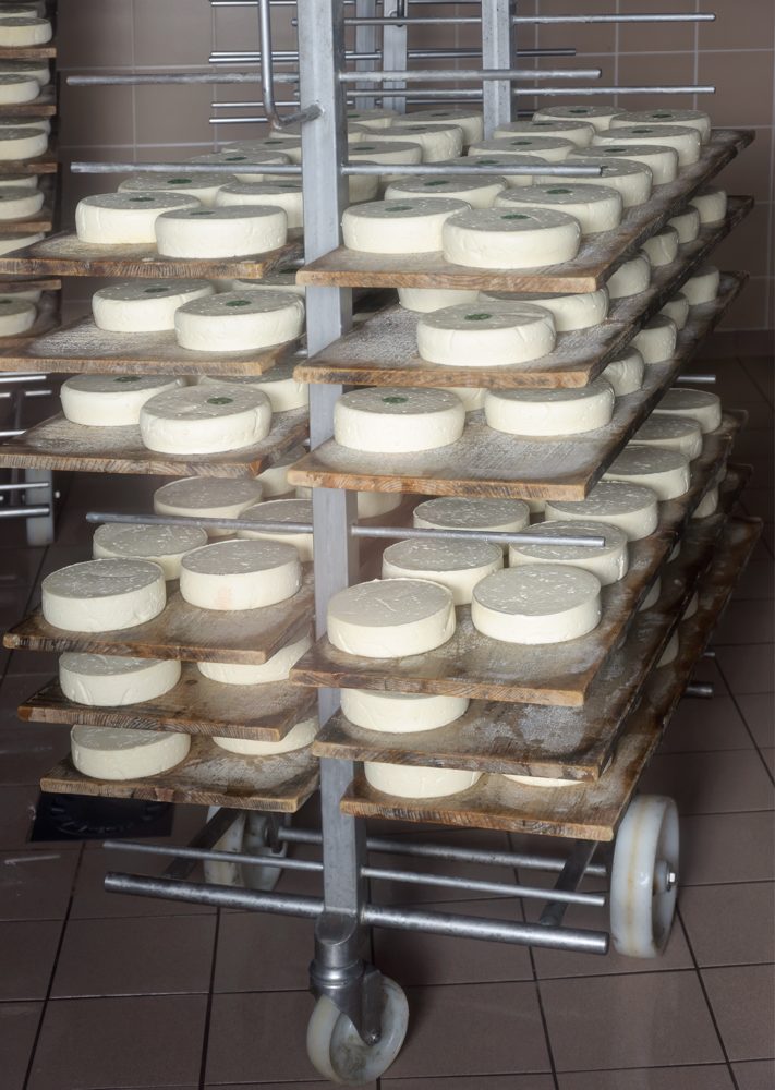 Cheese, Reblochon-Style