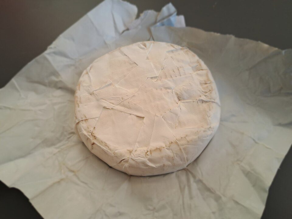 Cheese Rind Cultures — The one you'd recognize