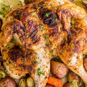 Chicken, Spatchcock