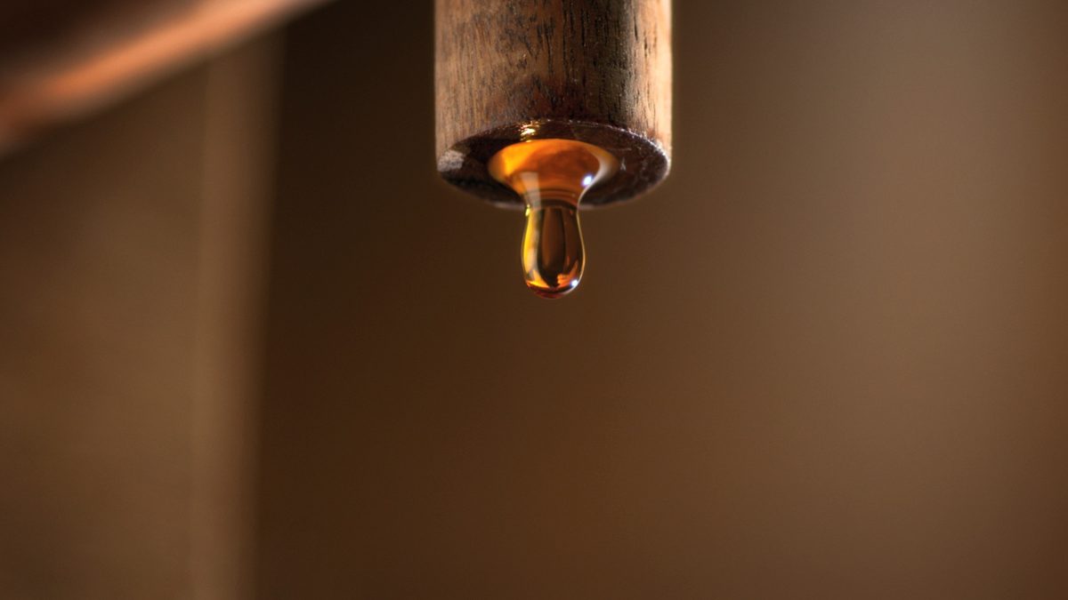 Fish Sauce — Out of the container