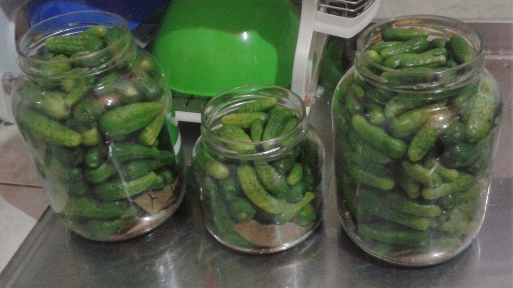 Half-Sour Pickles