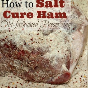 Homemade Salt Curing Mix