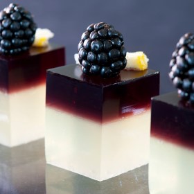 Jello Shot, Blackberry Gin Sour