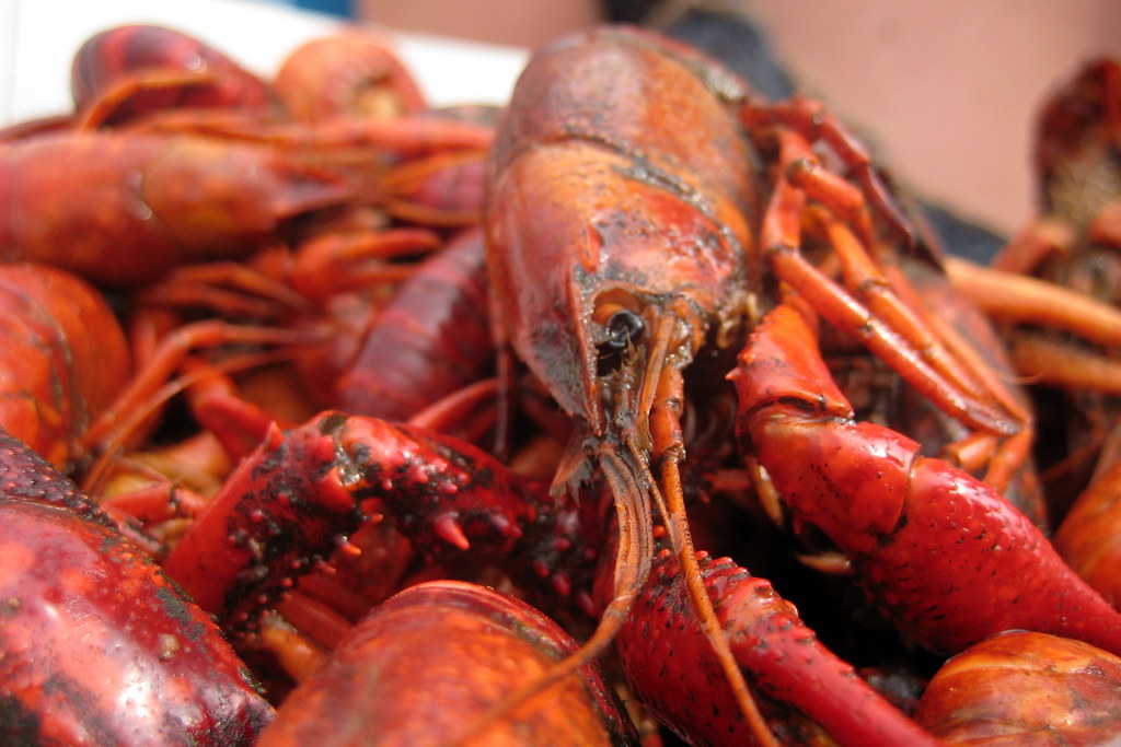 Justin Wilson's Boiled Crawfish